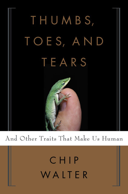Thumbs, Toes, and Tears, Chip Walter