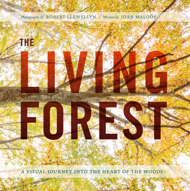 The Living Forest, Robert Llewellyn, Joan Maloof