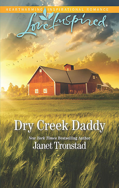 Dry Creek Daddy, Janet Tronstad