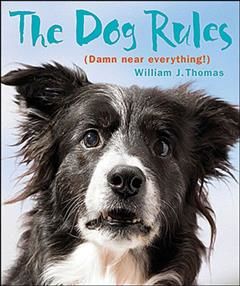 Dog Rules, William Thomas