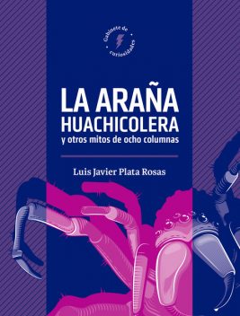 La araña huachicolera y mitos de ocho columnas, Luis Javier Plata Rosas