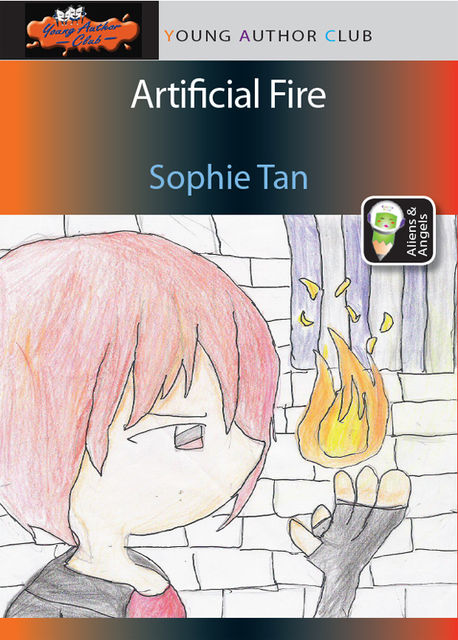 Artifical Fire, Sophie Tan