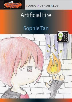 Artifical Fire, Sophie Tan