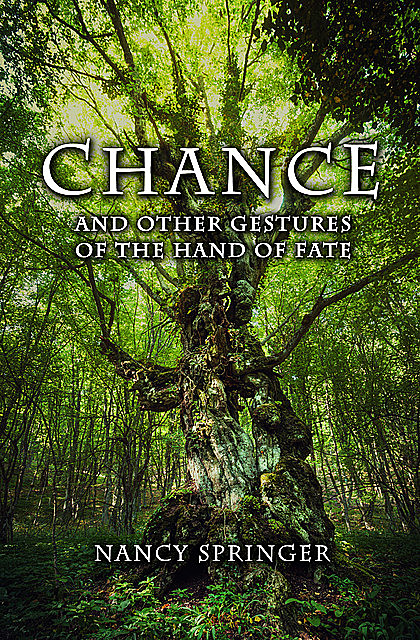 Chance, Nancy Springer