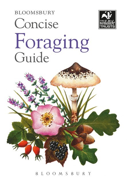 Concise Foraging Guide, Tiffany Francis-Baker