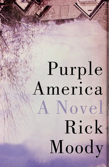 Purple America, Rick Moody