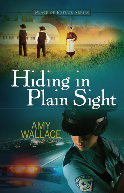 Hiding in Plain Sight, Amy Wallace
