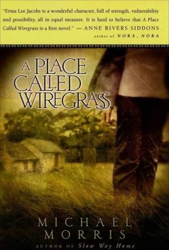 A Place Called Wiregrass, Michael Morris
