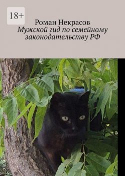 Мужской гид по семейному законодательству РФ. Истории от юристов для обывателей, Роман Некрасов