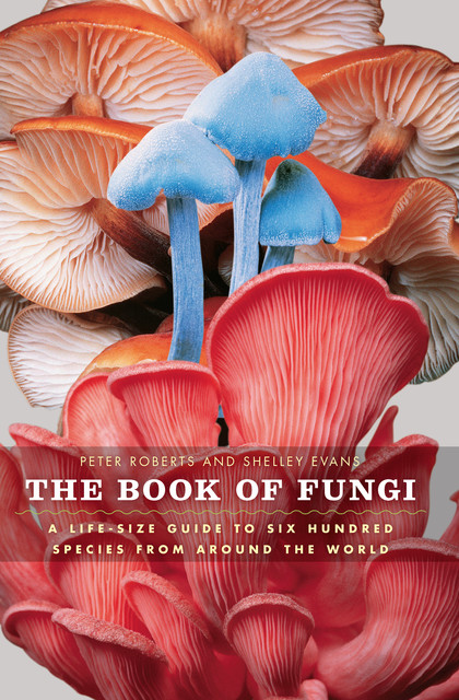 The Book of Fungi, Peter Roberts, Shelley Evans