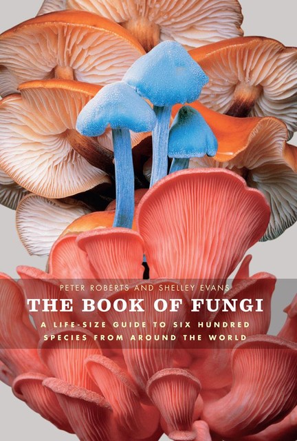 The Book of Fungi, Peter Roberts, Shelley Evans