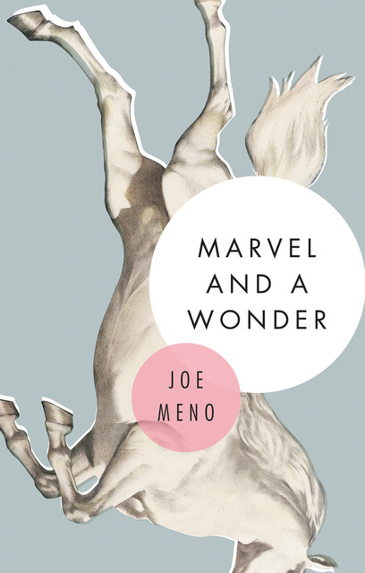 Marvel and a Wonder, Joe Meno