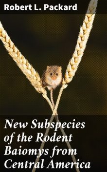 New Subspecies of the Rodent Baiomys from Central America, Robert L.Packard