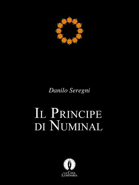 Il principe di Numinal, Danilo Seregni