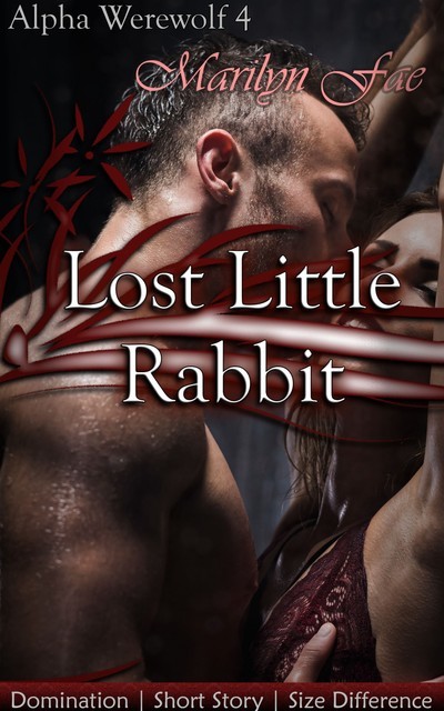 Lost Little Rabbit, Marilyn Fae
