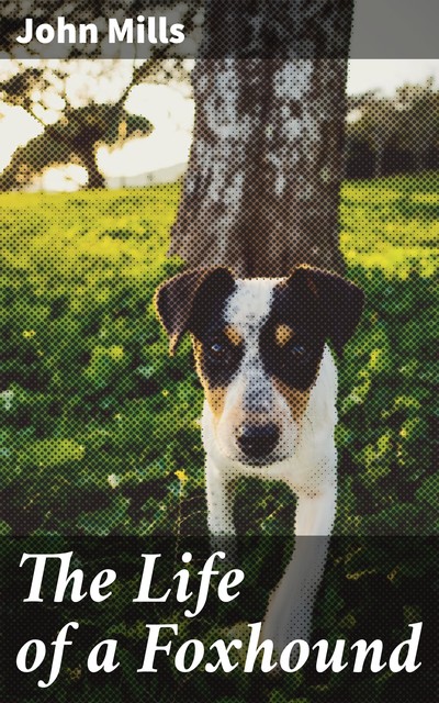 The Life of a Foxhound, John Mills