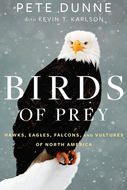 Birds of Prey, Pete Dunne, Kevin T. Karlson