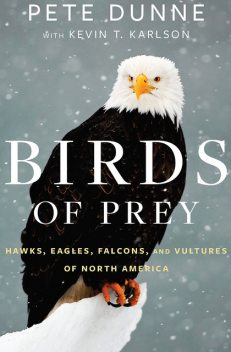 Birds of Prey, Pete Dunne, Kevin T. Karlson