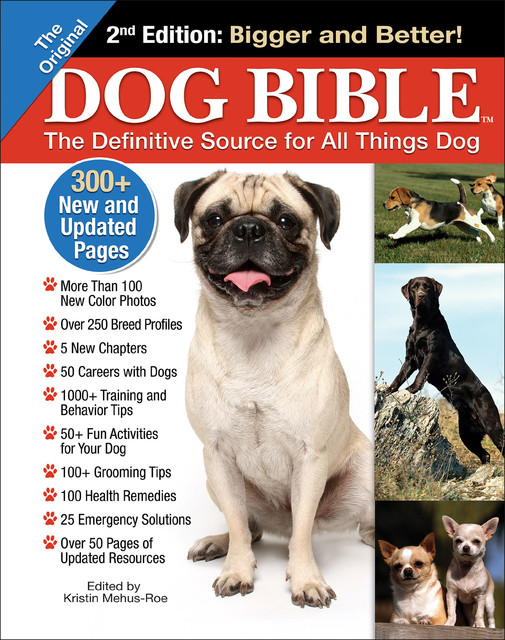 Original Dog Bible, Kristin Mehus-Roe