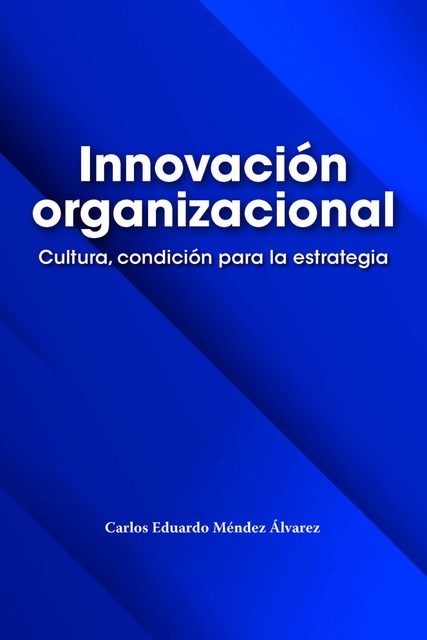Innovación organizacional, Carlos Eduardo Méndez Álvarez