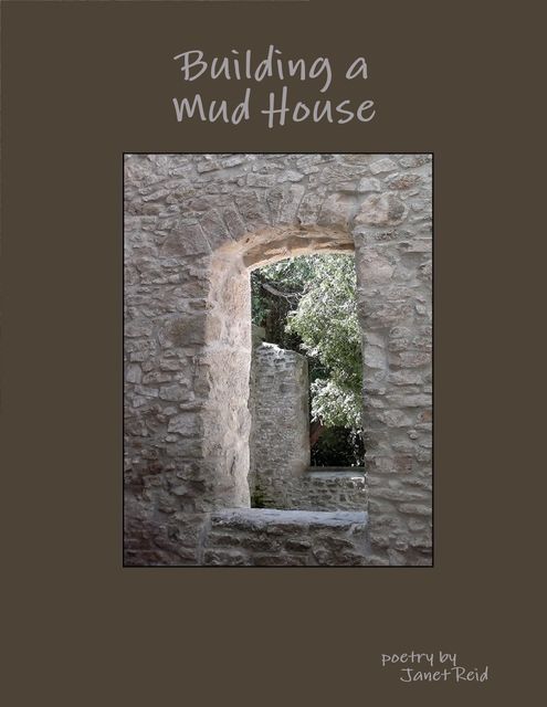 Building a Mud House, Janet Reid