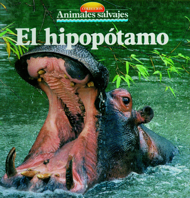 El hipopótamo, 