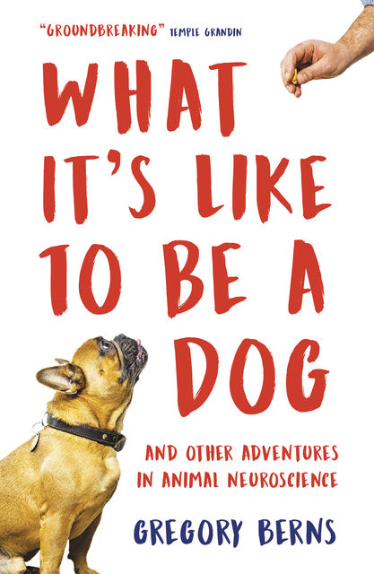 What It’s Like to Be a Dog, Gregory Berns