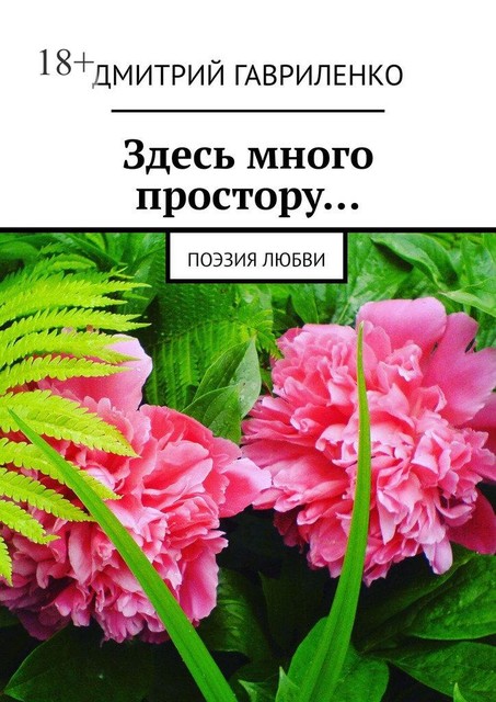 Здесь много простору…. Поэзия любви, Дмитрий Гавриленко