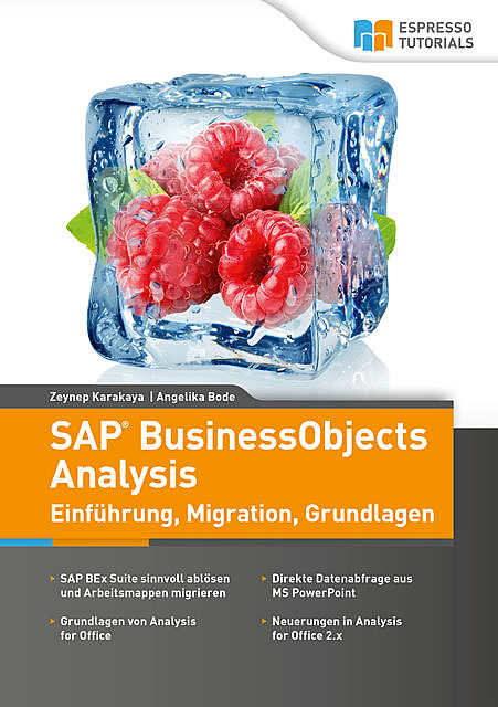 SAP BusinessObjects Analysis – Einführung, Migration, Grundlagen, Angelika Bode, Zeynep Karakaya