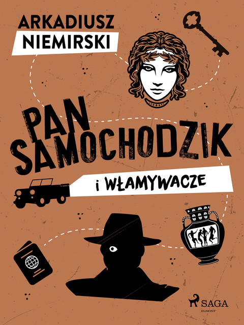 Pan Samochodzik i włamywacze, Arkadiusz Niemirski