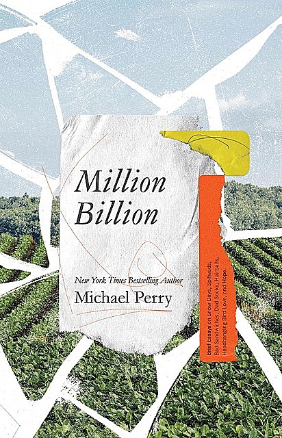 Million Billion, Michael Perry