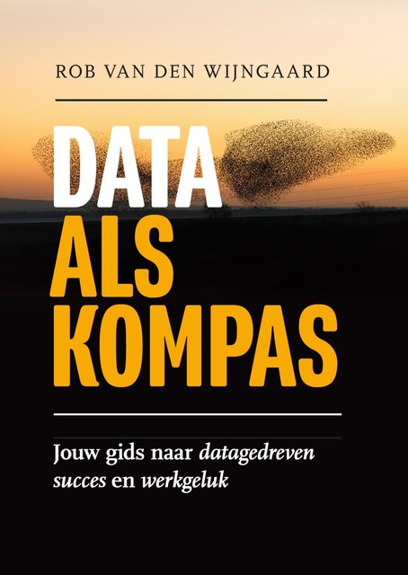Data als kompas, Rob van den Wijngaard