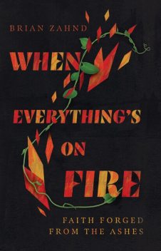 When Everything's on Fire, Brian Zahnd