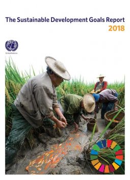 The Sustainable Development Goals Report 2018, Department of Economic, Social Affairs