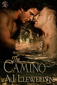 The Camino, A.J.Llewellyn