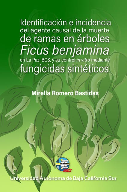 Identificación e incidencia del agente causal de la muerte de ramas en árboles, Mirella Romero Bastidas