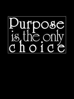 Purpose is the Only Choice, David Hoffmeister