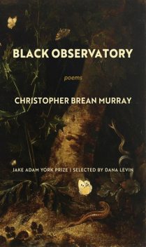 Black Observatory, Christopher Murray