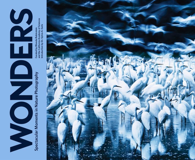 Wonders, California Academy of Sciences