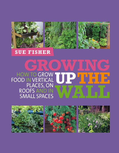 Growing Up The Wall, Sue Fisher