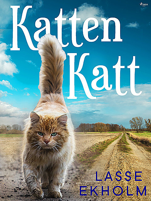 Katten Katt, Lasse Ekholm