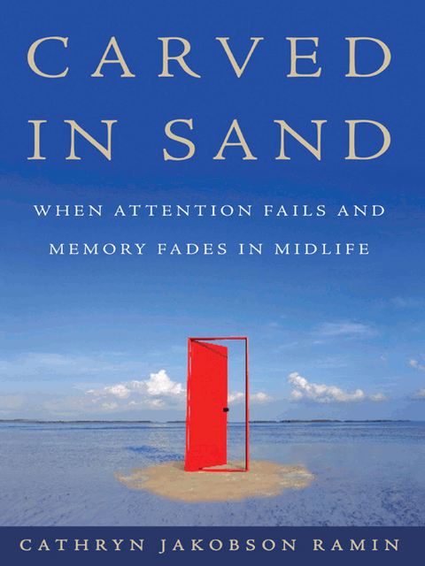 Carved in Sand, Cathryn Jakobson Ramin