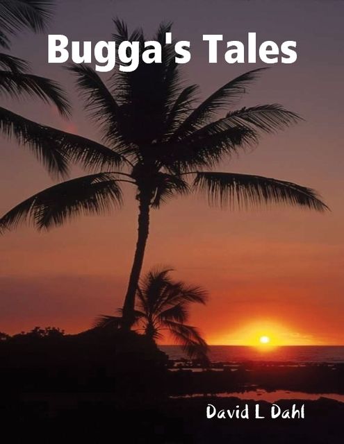 Bugga's Tales, David L Dahl