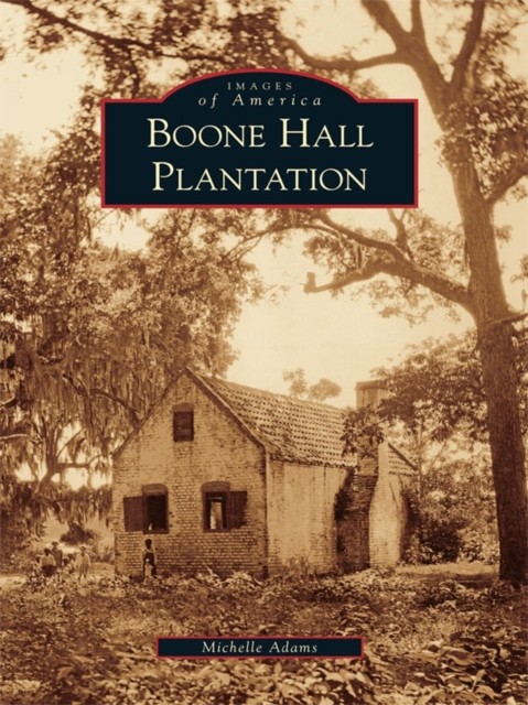 Boone Hall Plantation, Michelle Adams