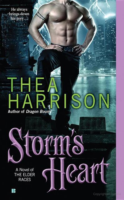 Storm's Heart, Thea Harrison