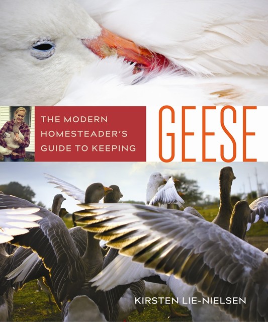 The Modern Homesteader's Guide to Keeping Geese, Kirsten Lie-Nielsen