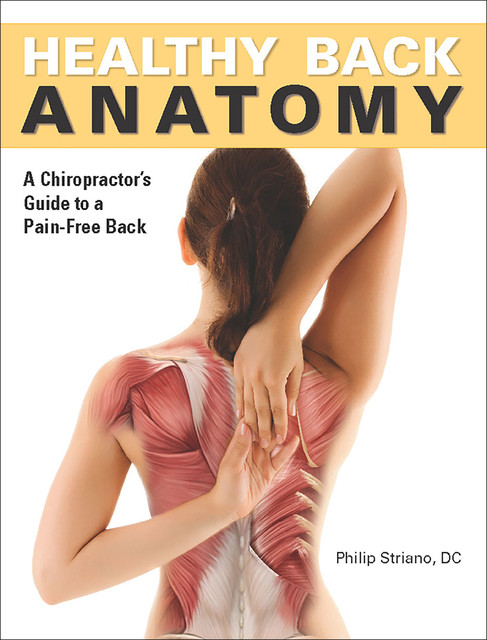 Healthy Back Anatomy, Philip Striano