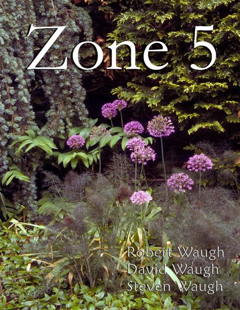 Zone 5, David Waugh, Robert Waugh, Steven Waugh