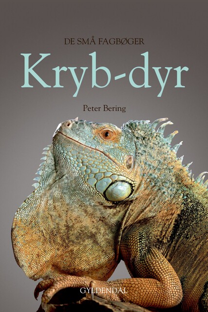 Krybdyr, Peter Bering