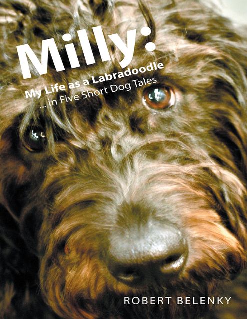 Milly: My Life As a Labradoodle … In Five Short Dog Tales, Robert Belenky